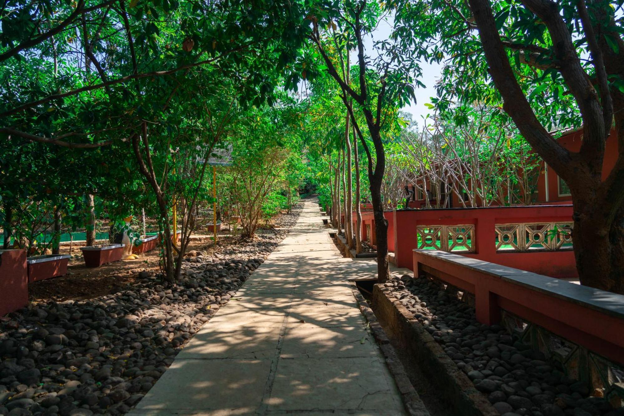 Wild Camp- The Nature Resort Khodala 외부 사진